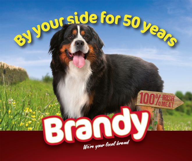 By your side for 50 years