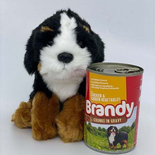 Small cuddly dog with a can of dog food
